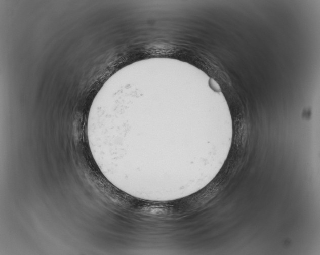 X0000115480655200912181210