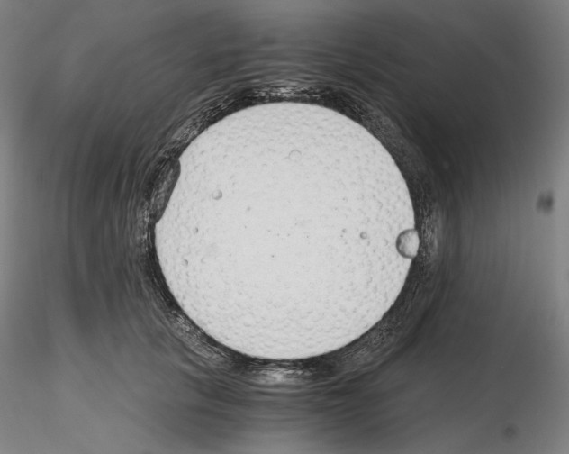 X0000115480657200912181210