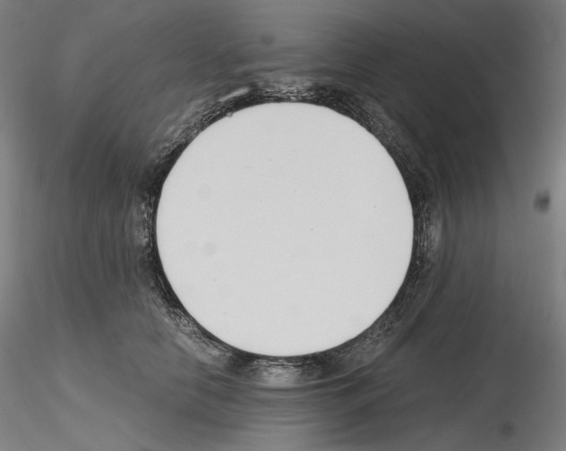 X0000115480658200912181210