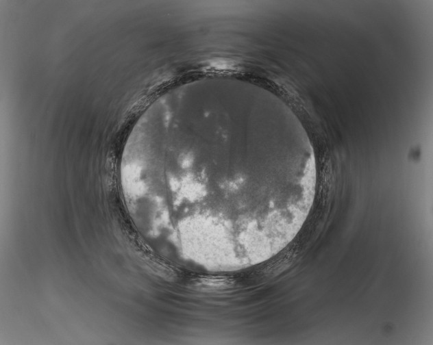 X0000115480659200912181210
