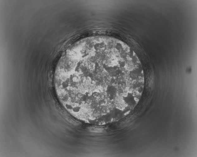 X0000115480661200912181210