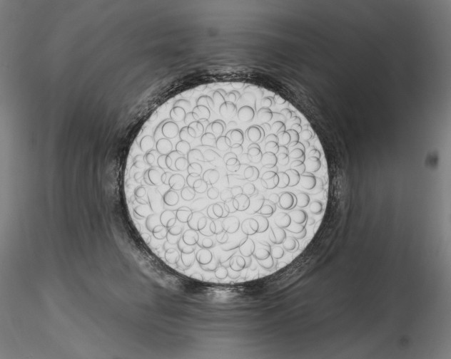 X0000115480662200912181210