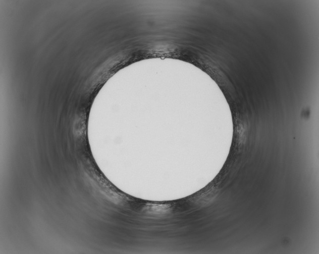 X0000115480665200912181210