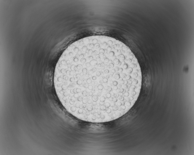 X0000115480666200912181210