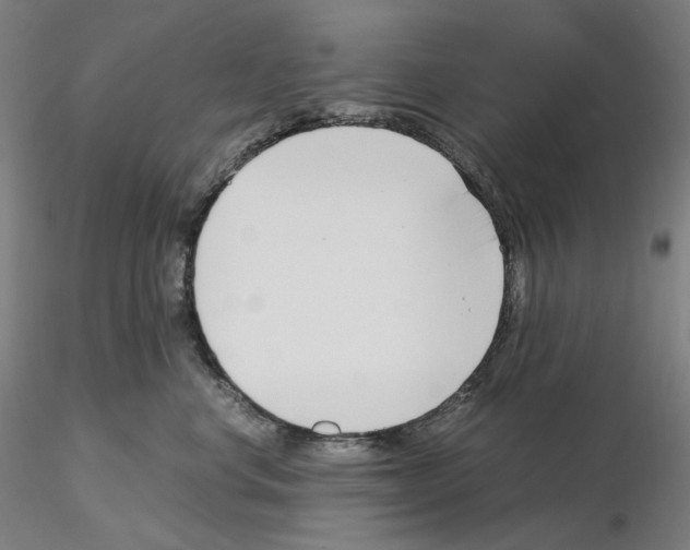 X0000115480668200912181210