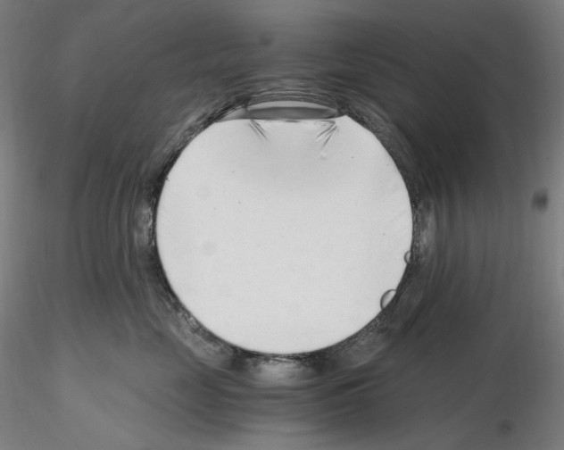 X0000115480669200912181210