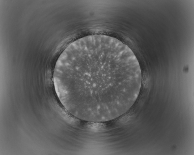 X0000115480670200912181210
