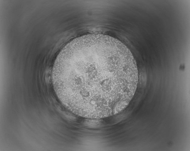 X0000115480671200912181210