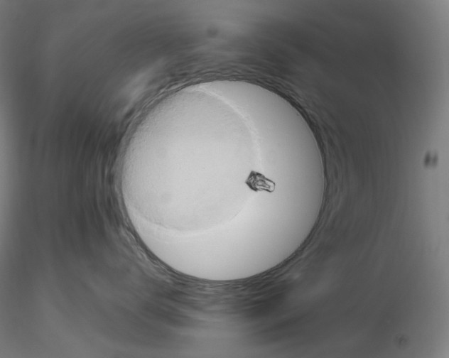 X0000115480672200912181210