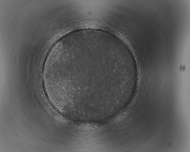 X0000115480673200912181209