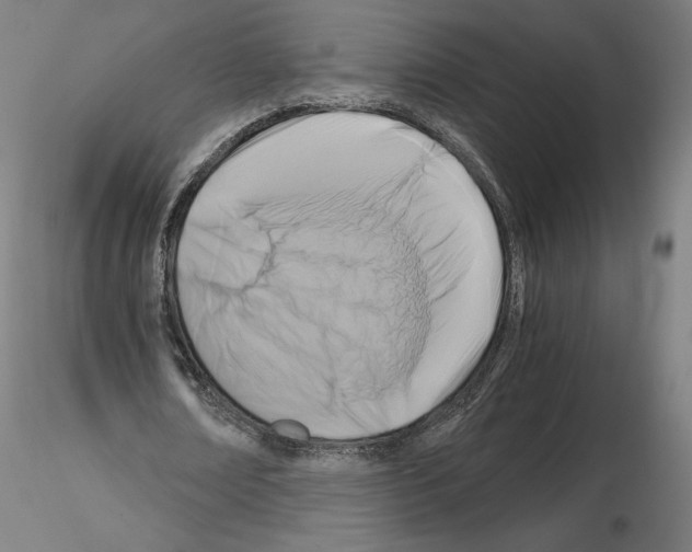 X0000115480674200912181209