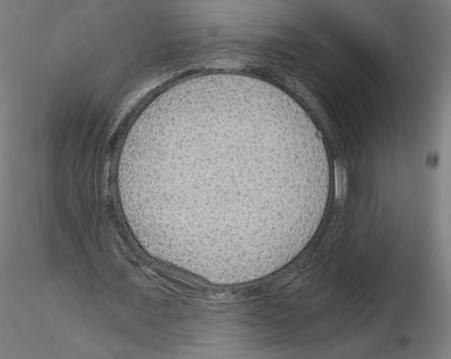 X0000115480675200912181209