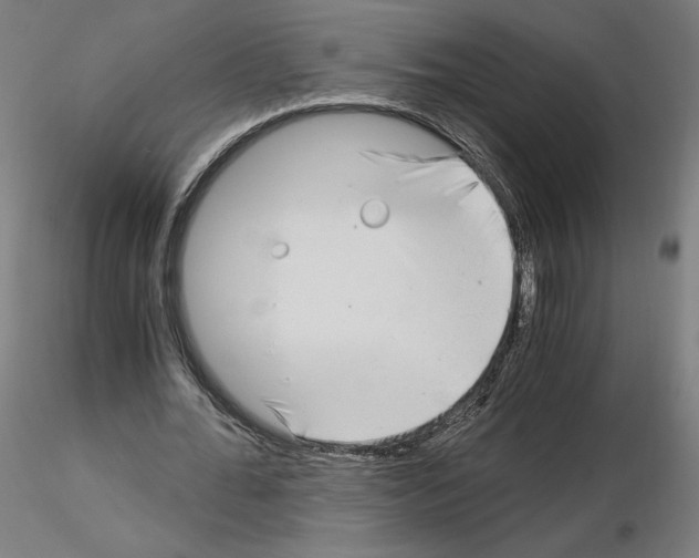 X0000115480676200912181209