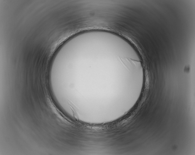X0000115480677200912181209