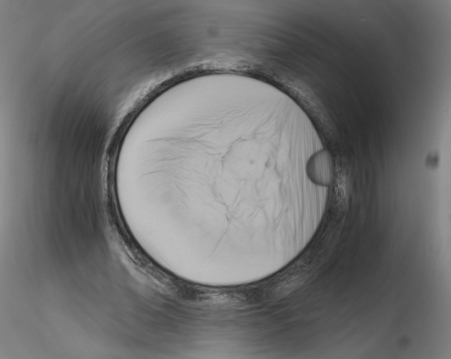 X0000115480678200912181209