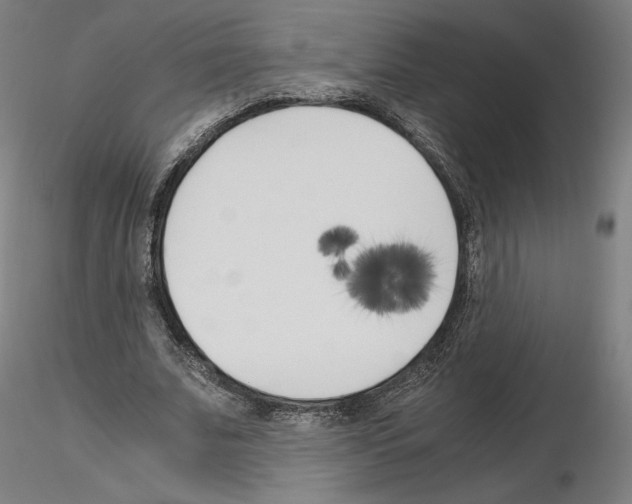 X0000115480679200912181209