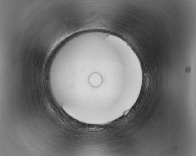 X0000115480680200912181209