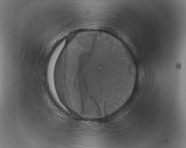 X0000115480681200912181209