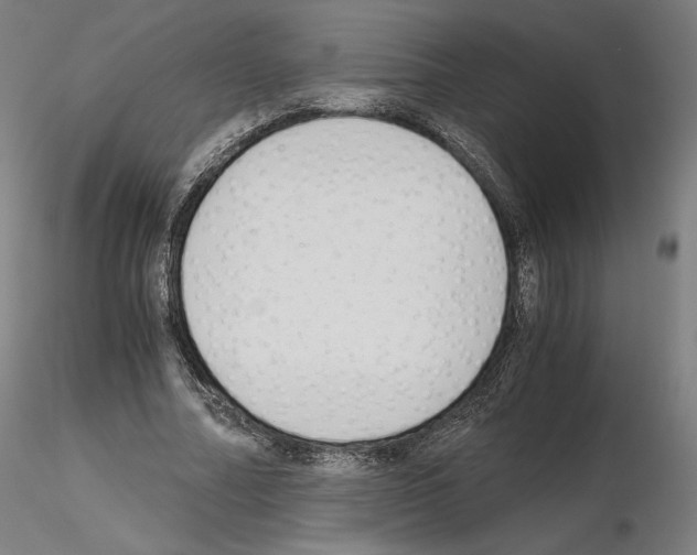 X0000115480682200912181209