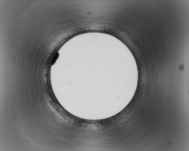 X0000115480683200912181209