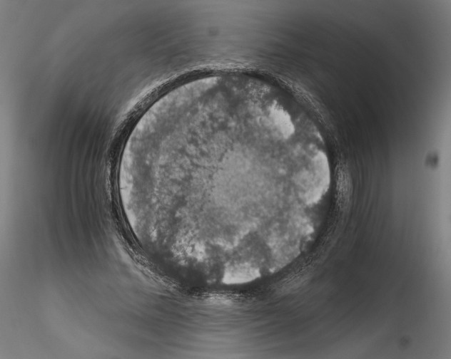 X0000115480684200912181209