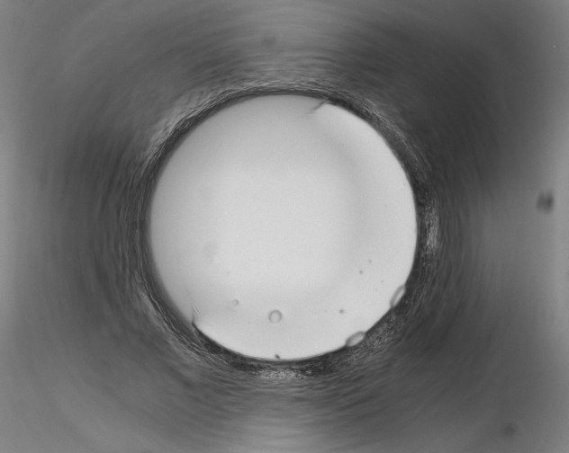 X0000115480685200912181209