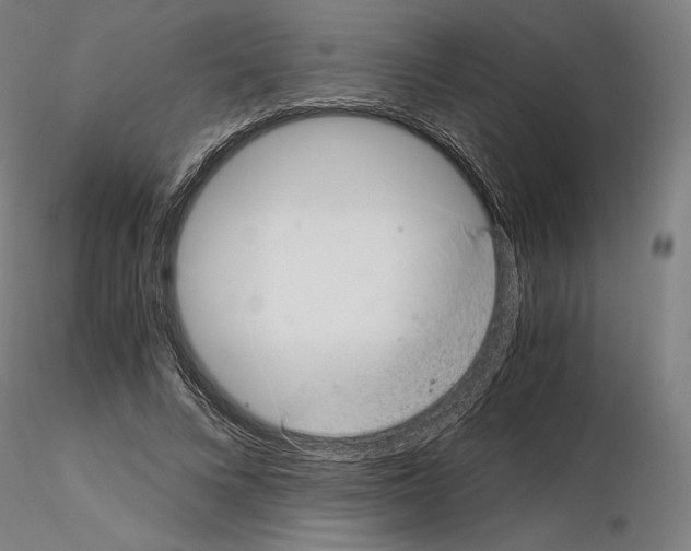 X0000115480688200912181209