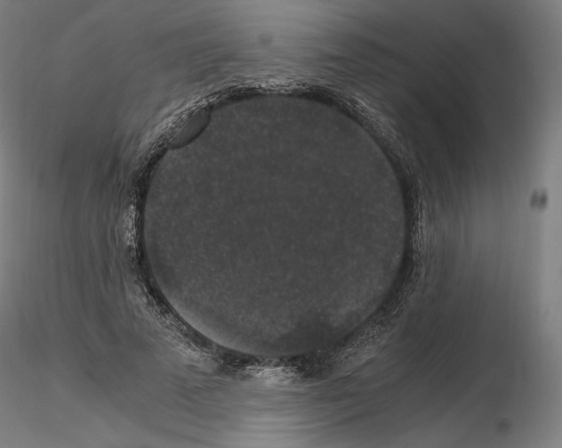 X0000115480689200912181209