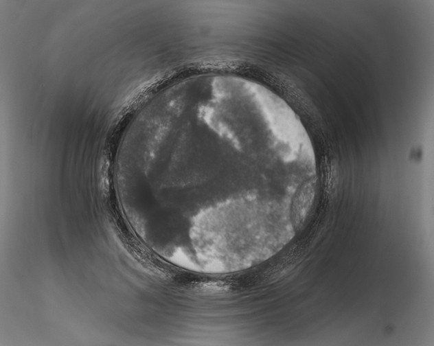 X0000115480692200912181209