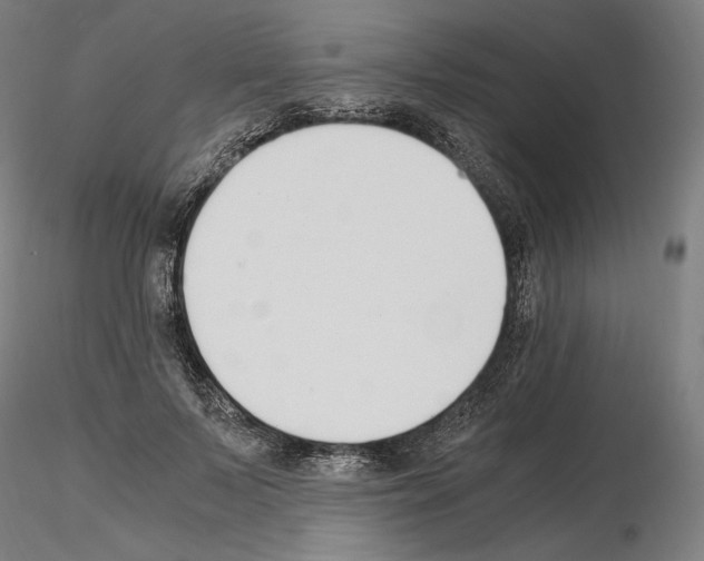 X0000115480695200912181209