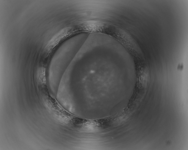 X0000115480696200912181209