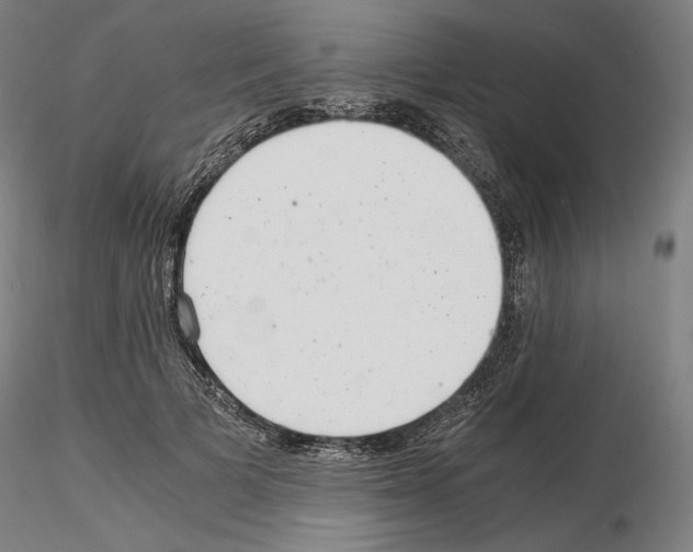 X0000115480697200912181209