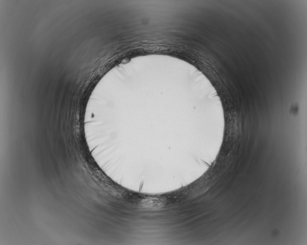 X0000115480700200912181209