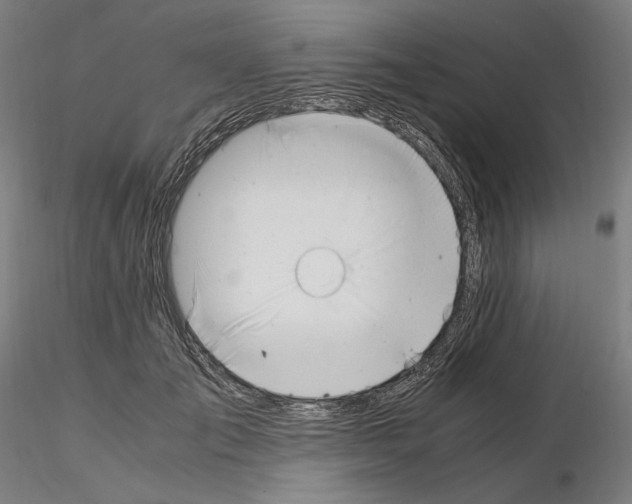 X0000115480701200912181209