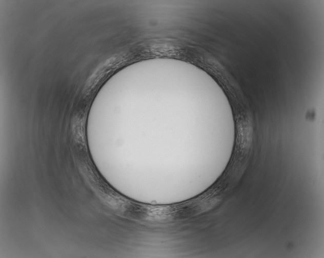 X0000115480705200912181209