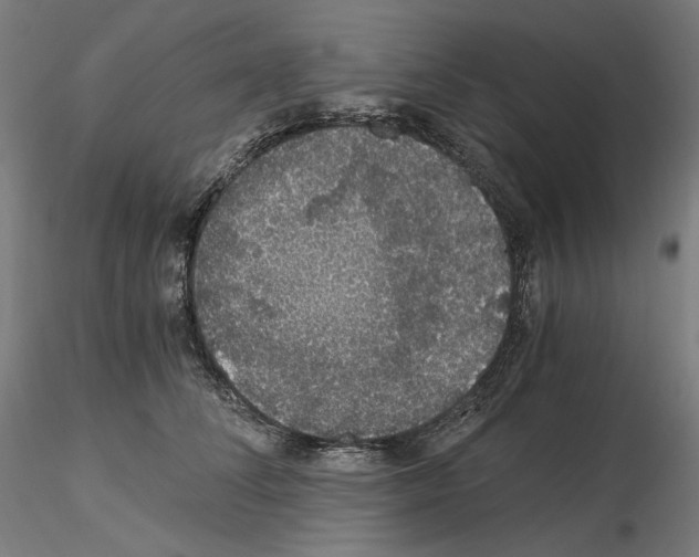 X0000115480708200912181209