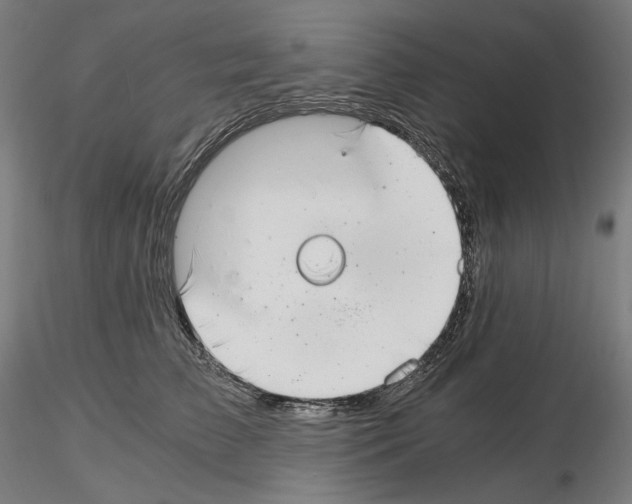 X0000115480709200912181209