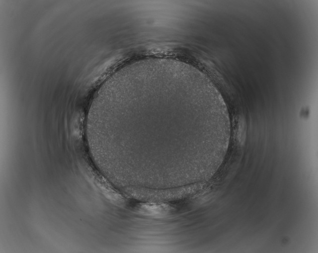 X0000115480712200912181209