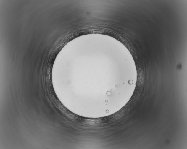X0000115480713200912181209