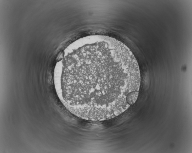 X0000115480715200912181209