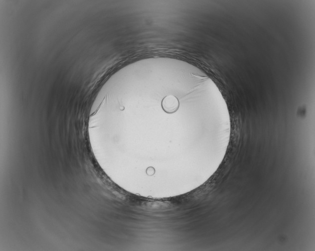 X0000115480716200912181209