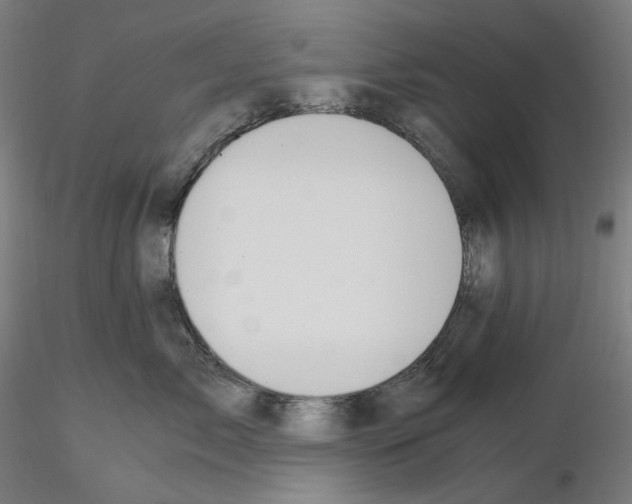 X0000115480717200912181209