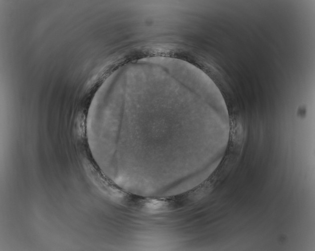 X0000115480718200912181209