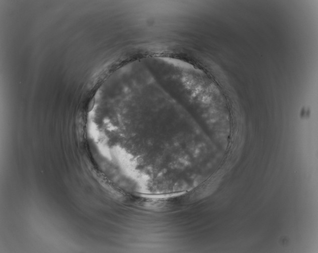 X0000115480720200912181209
