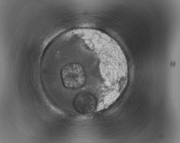 X0000115480721200912181208