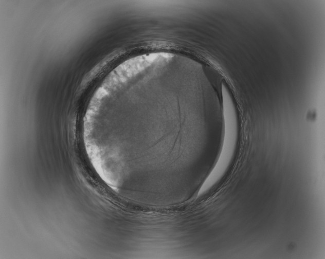 X0000115480722200912181208