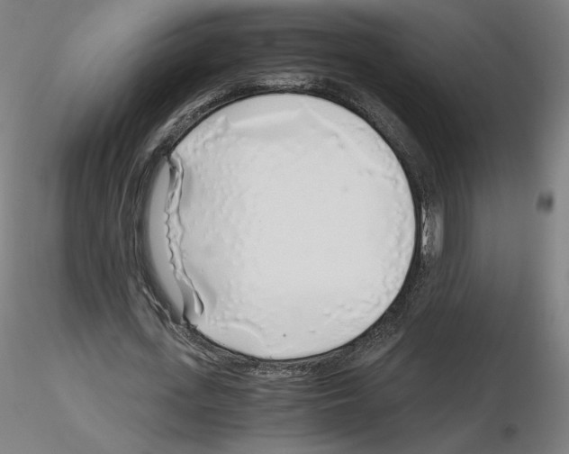 X0000115480723200912181208