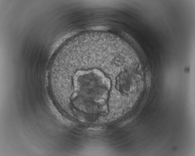 X0000115480725200912181208