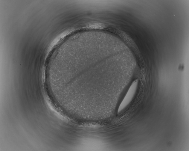 X0000115480726200912181208