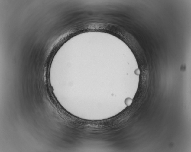 X0000115480727200912181208